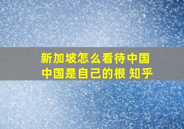 新加坡怎么看待中国 中国是自己的根 知乎